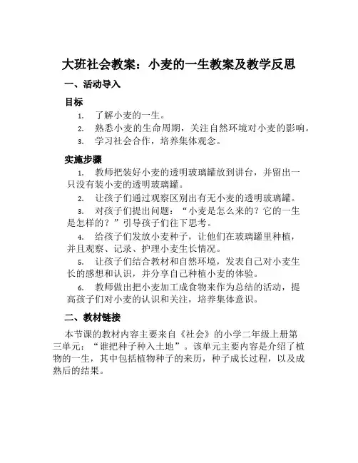大班社会教案小麦的一生教案及教学反思