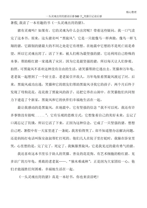 一头灵魂出窍的猪读后感500字_笑猫日记读后感