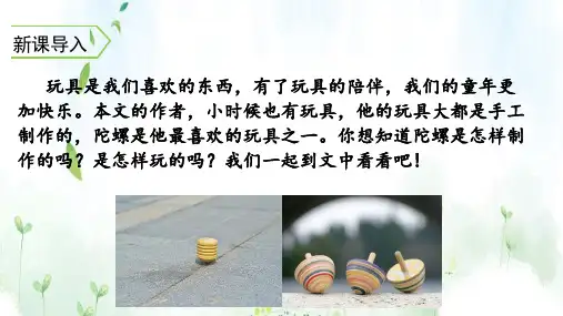 《陀螺》ppt课件优秀版