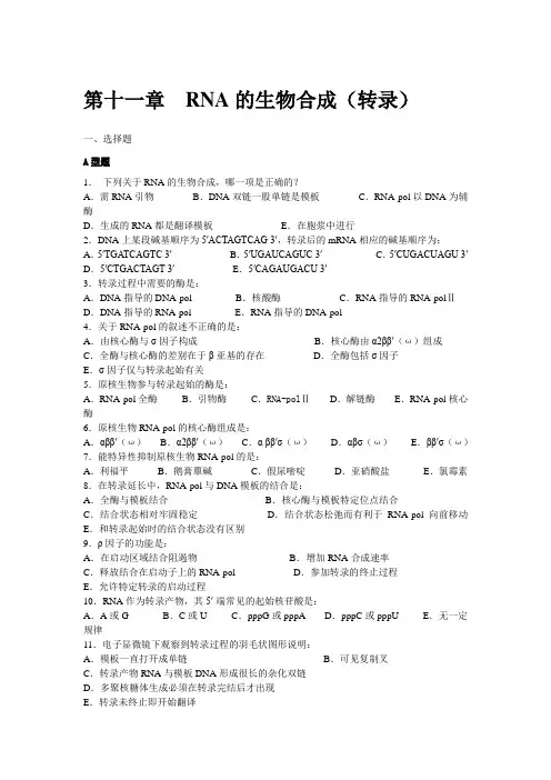 第十一章RNA的生物合成练习题
