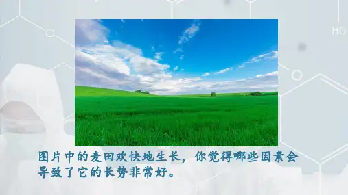 人教版《氮及其化合物》公开课课件PPT3