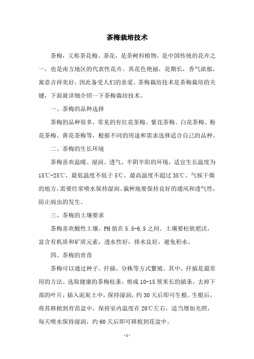 茶梅栽培技术