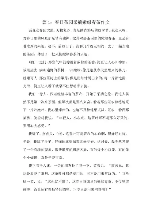 春日茶园采摘嫩绿春茶作文精选10篇