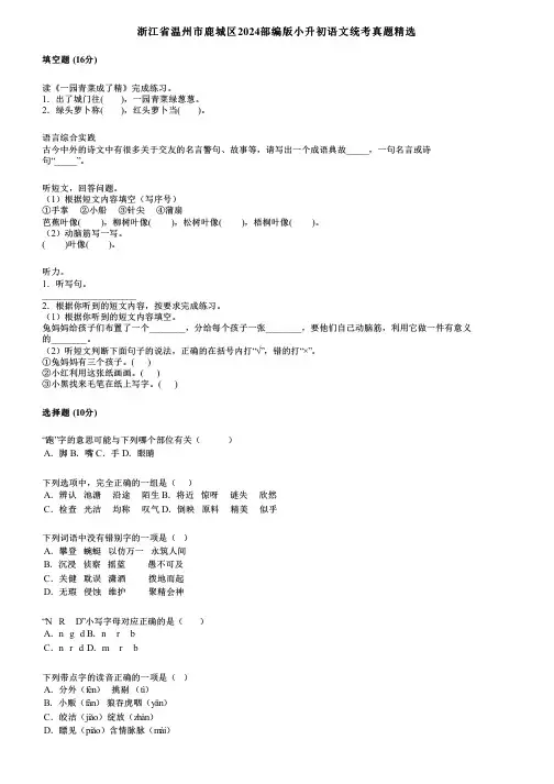 浙江省温州市鹿城区2024部编版小升初语文统考真题精选