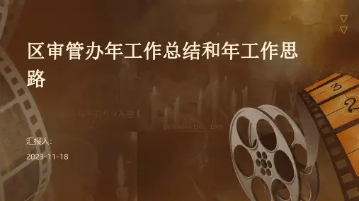 区审管办年工作总结和年工作思路