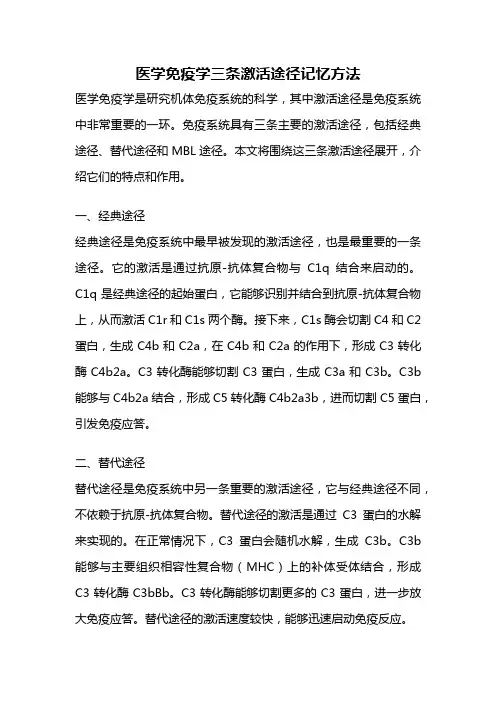 医学免疫学三条激活途径记忆方法
