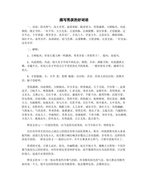 描写男孩的好词语