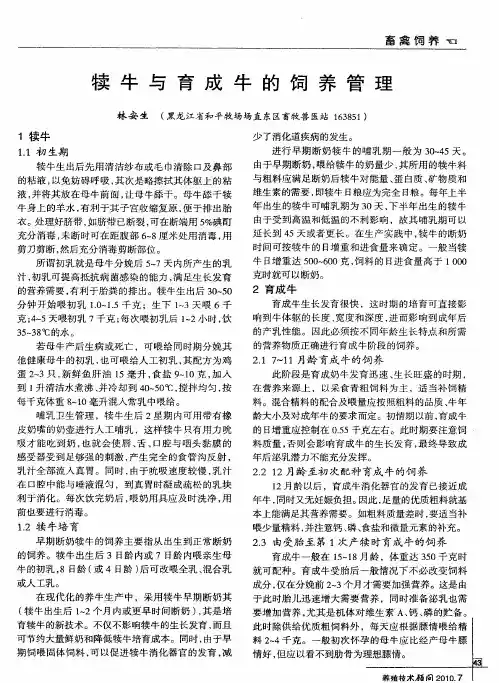 犊牛与育成牛的饲养管理