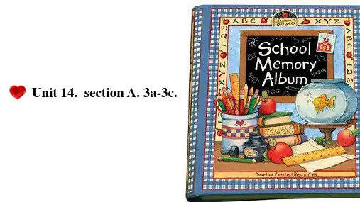 九年级英语Unit 14 Section A 3a~3c 课件