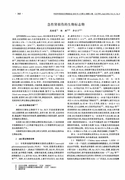 急性肾损伤的生物标志物