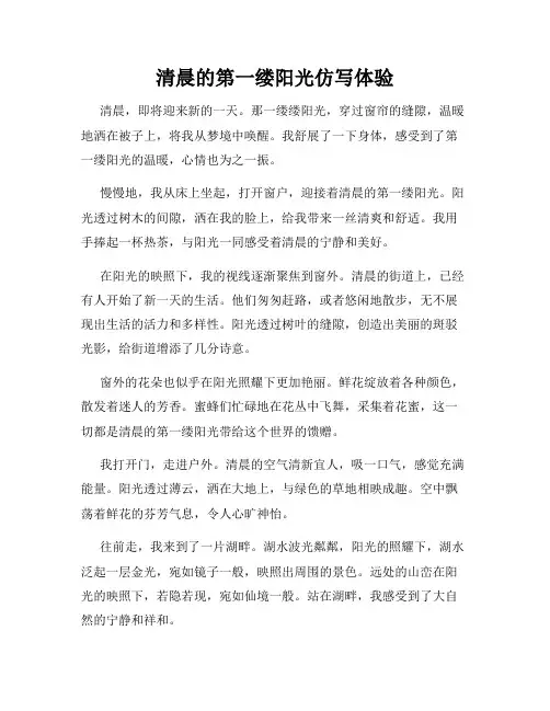 清晨的第一缕阳光仿写体验