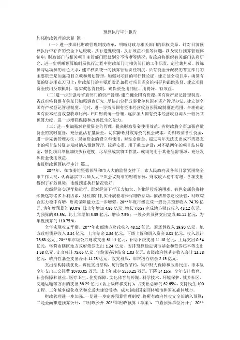 预算执行审计报告