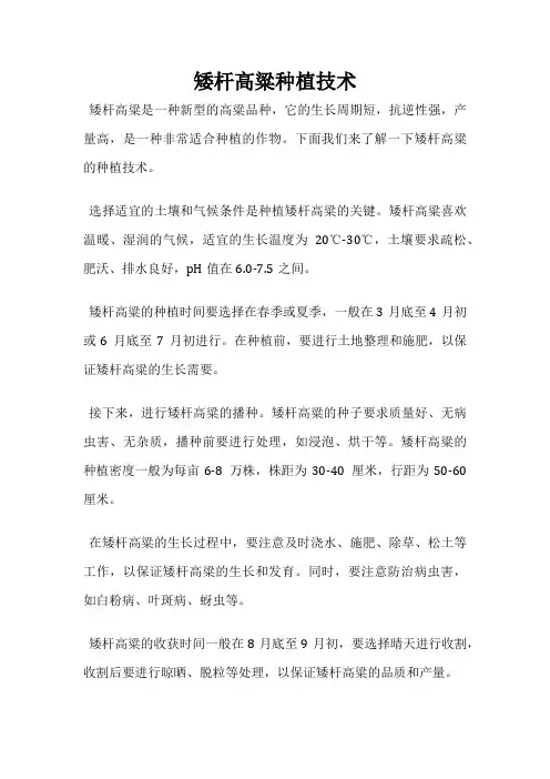 矮杆高粱种植技术