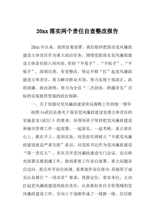 落实两个责任自查整改报告