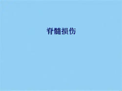 脊髓损伤(共26张PPT)