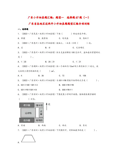 题型一  选择题67题(一)-广东省各地区近两年小升初真题题型汇编专项训练