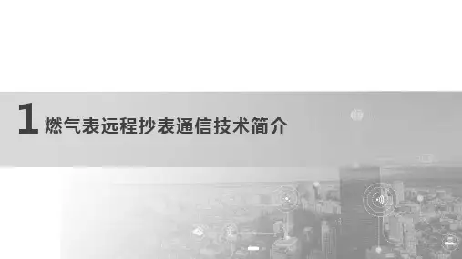 燃气表远传系统(物联网表)PPT