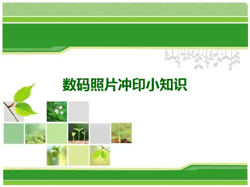 照片相纸,尺寸以及裁剪和留白