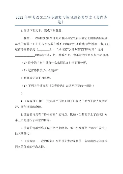 2022年中考语文二轮专题复习练习题名著导读《艾青诗选》