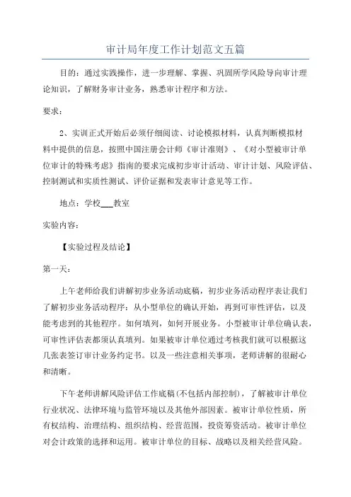 审计局年度工作计划范文五篇