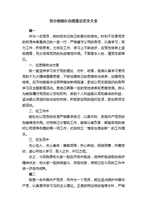 党小组组长自我鉴定范文大全