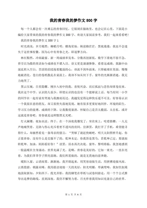 我的青春我的梦作文800字