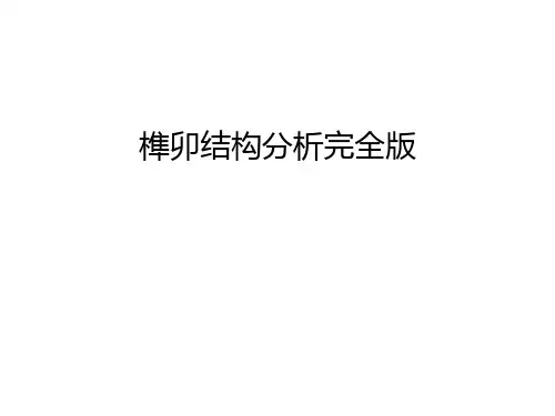 榫卯结构分析完全版说课讲解