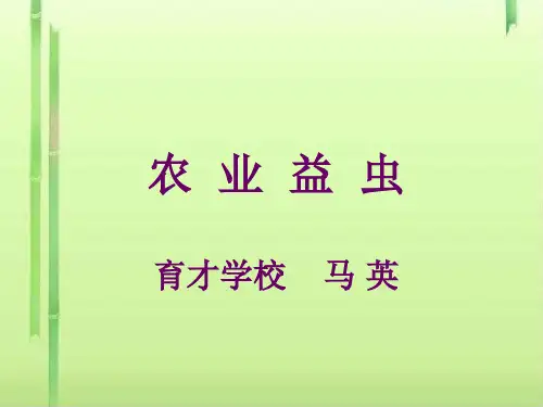 农业益虫PPT课件 课件