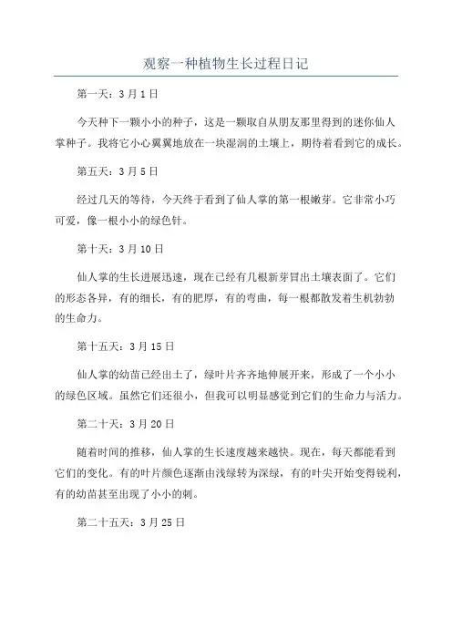观察一种植物生长过程日记