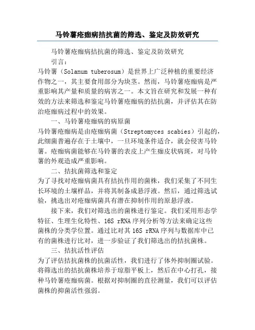 马铃薯疮痂病拮抗菌的筛选、鉴定及防效研究
