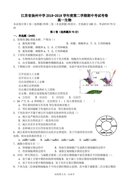 江苏省扬州中学2018-2019学年高一下学期期中考试生物Word版含答案