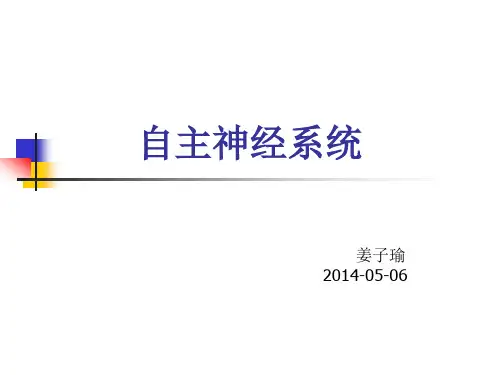 自主神经系统解剖和功能