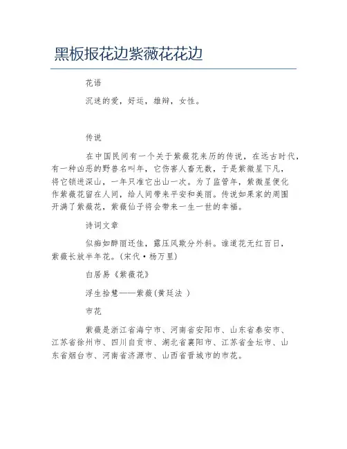 黑板报花边紫薇花花边文字稿