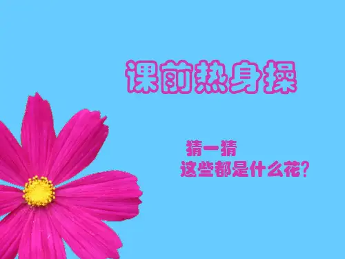 二年级下册语文作文课件-第9讲 花(上)-部编版(共23张PPT)