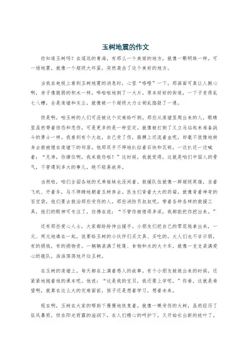 玉树地震的作文