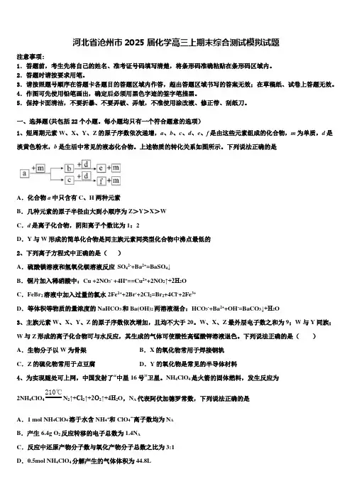 河北省沧州市2025届化学高三上期末综合测试模拟试题含解析