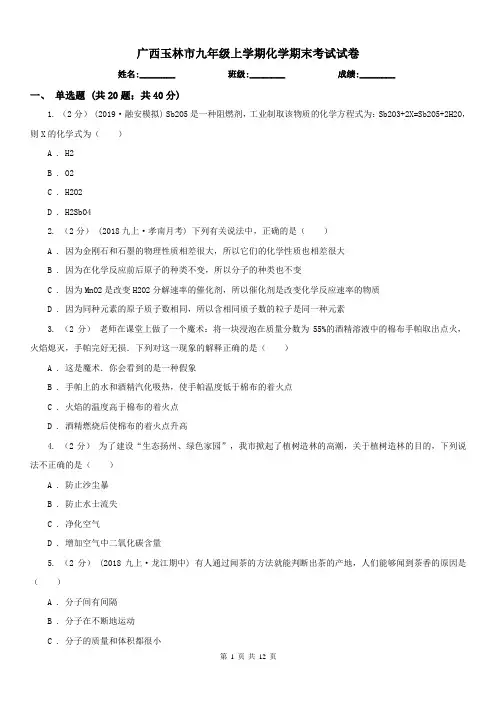 广西玉林市九年级上学期化学期末考试试卷