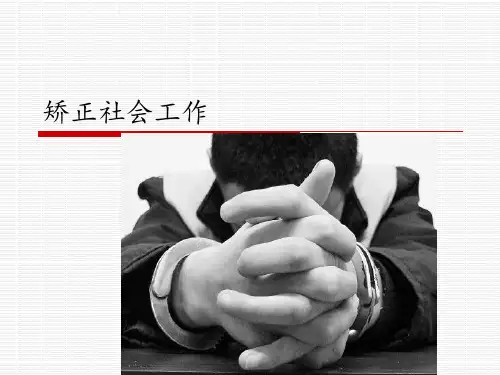 社会工作_实务——_矫正社会工