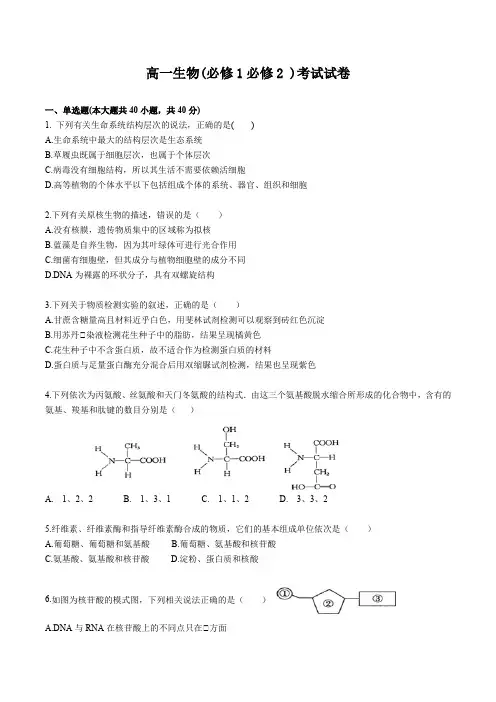 高一生物(必修1必修2综合)考试试卷