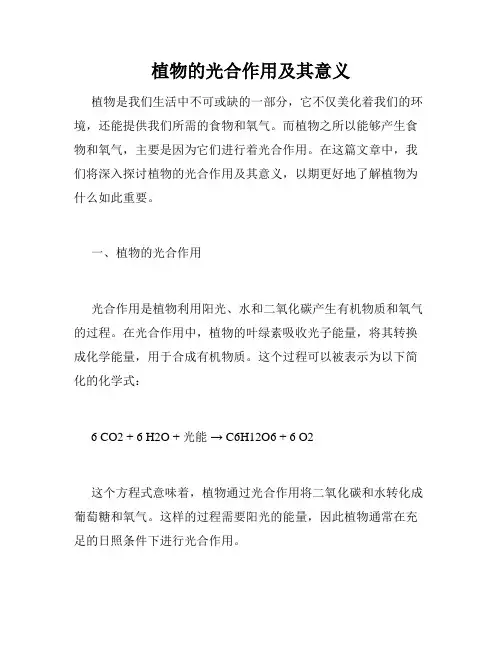 植物的光合作用及其意义