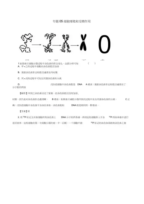 2017年高考生物(深化复习+命题热点提分)专题05细胞增殖和受精作用