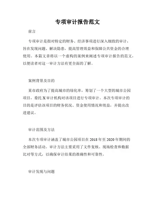 专项审计报告范文
