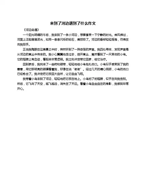 来到了河边遇到了什么作文