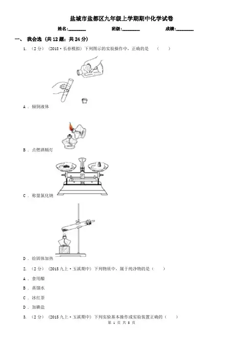 盐城市盐都区九年级上学期期中化学试卷