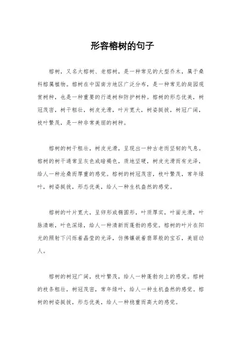 形容榕树的句子