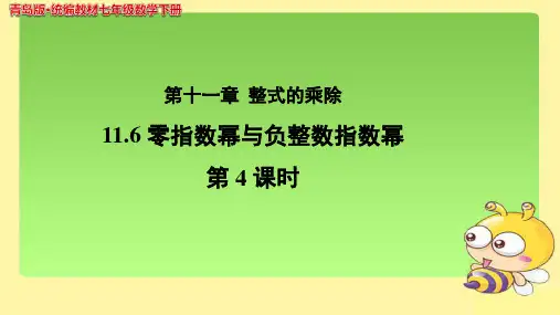 《 零指数幂与负整数指数幂》(第4课时)示范公开课教学PPT课件【青岛版七年级数学下册】