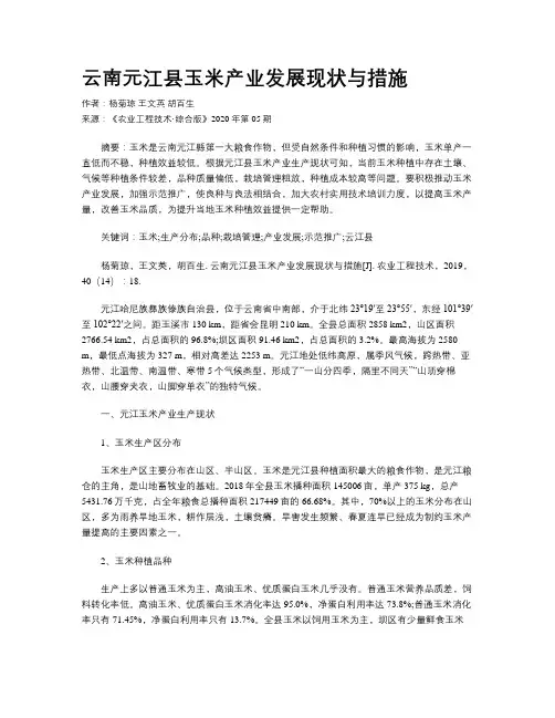 云南元江县玉米产业发展现状与措施