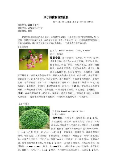 关于的植物调查报告