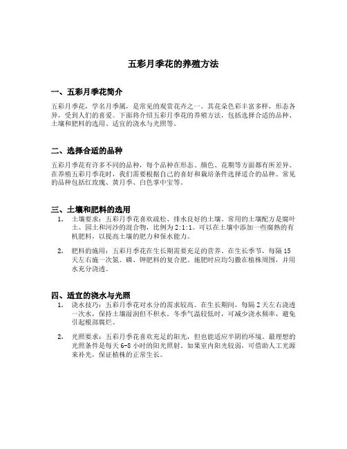 五彩月季花的养殖方法