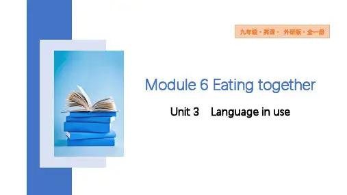 Module6Unit3课件九年级英语下册